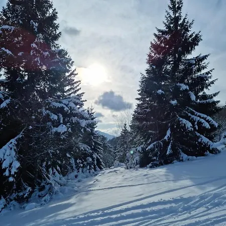 Les Randogodilleurs Avec Jacuzzi A 2kms Des Pistes Et 350m Du Theatre Du Peuple ! Semesterbostad