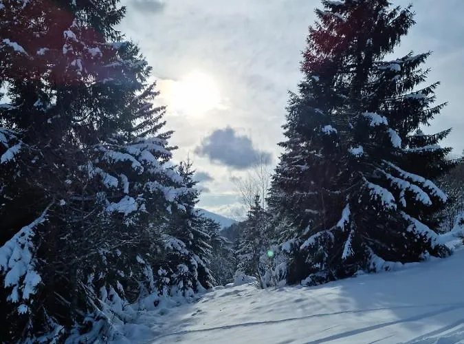 Les Randogodilleurs Avec Jacuzzi A 2kms Des Pistes Et 350m Du Theatre Du Peuple ! 度假居