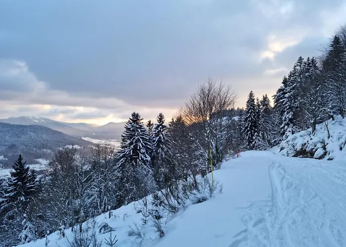 Les Randogodilleurs Avec Jacuzzi A 2kms Des Pistes Et 350m Du Theatre Du Peuple ! 度假居 *